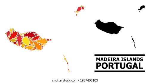 Mosaic autumn leaves and solid map of Madeira Islands. Vector map of Madeira Islands is constructed of scattered autumn maple and oak leaves. Abstract geographic scheme in bright gold, red,