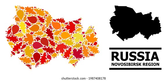 Mosaic autumn leaves and solid map of Novosibirsk Region. Vector map of Novosibirsk Region is formed of scattered autumn maple and oak leaves. Abstract territory scheme in bright gold, red,