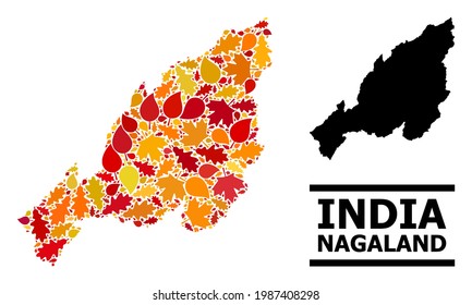 Mosaic autumn leaves and solid map of Nagaland State. Vector map of Nagaland State is organized with scattered autumn maple and oak leaves. Abstract geographic plan in bright gold, red,
