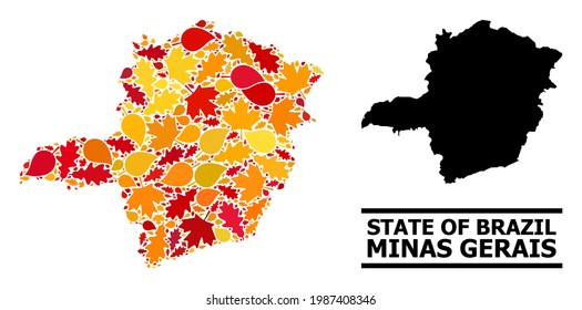 Mosaic autumn leaves and solid map of Minas Gerais State. Vector map of Minas Gerais State is done from scattered autumn maple and oak leaves. Abstract territorial plan in bright gold, red,