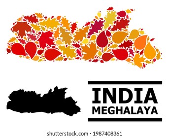 Mosaic autumn leaves and solid map of Meghalaya State. Vector map of Meghalaya State is organized from randomized autumn maple and oak leaves. Abstract geographic plan in bright gold, red,