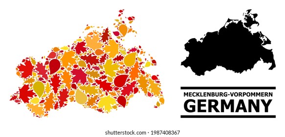 Mosaic autumn leaves and solid map of Mecklenburg-Vorpommern State. Vector map of Mecklenburg-Vorpommern State is designed with randomized autumn maple and oak leaves.