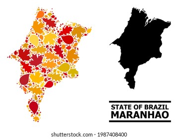 Mosaic autumn leaves and solid map of Maranhao State. Vector map of Maranhao State is organized of randomized autumn maple and oak leaves. Abstract territory plan in bright gold, red,