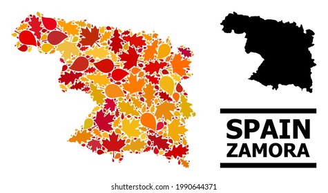 Mosaic autumn leaves and solid map of Zamora Province. Vector map of Zamora Province is done from randomized autumn maple and oak leaves. Abstract territory scheme in bright gold, red,