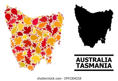 Mosaic autumn leaves and solid map of Tasmania Island. Vector map of Tasmania Island is constructed with random autumn maple and oak leaves. Abstract territory plan in bright gold, red,