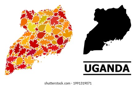 Mosaic autumn leaves and solid map of Uganda. Vector map of Uganda is formed from scattered autumn maple and oak leaves. Abstract geographic scheme in bright gold, red, brown colors for map of Uganda.