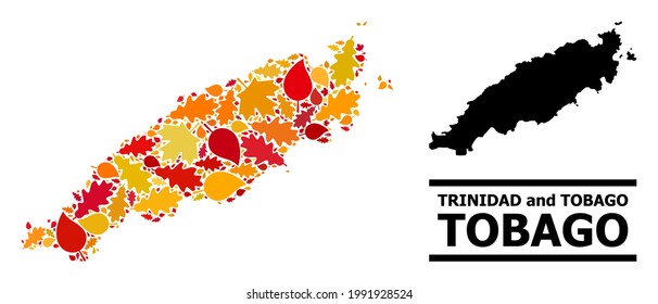 Mosaic autumn leaves and solid map of Tobago Island. Vector map of Tobago Island is constructed with randomized autumn maple and oak leaves. Abstract territorial scheme in bright gold, red,