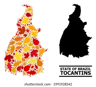 Mosaic autumn leaves and solid map of Tocantins State. Vector map of Tocantins State is formed with randomized autumn maple and oak leaves. Abstract geographic plan in bright gold, red,