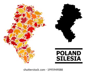 Mosaic autumn leaves and solid map of Silesia Province. Vector map of Silesia Province is shaped from random autumn maple and oak leaves. Abstract geographic plan in bright gold, red,