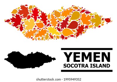 Mosaic autumn leaves and solid map of Socotra Island. Vector map of Socotra Island is made of scattered autumn maple and oak leaves. Abstract territorial plan in bright gold, red,