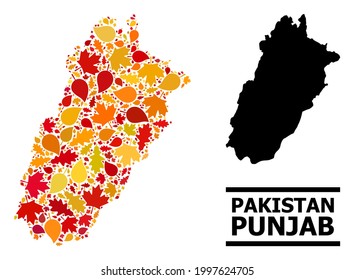 Mosaic autumn leaves and solid map of Punjab Province. Vector map of Punjab Province is constructed with randomized autumn maple and oak leaves. Abstract territory scheme in bright gold, red,