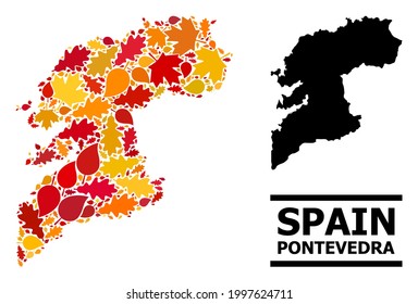 Mosaic autumn leaves and solid map of Pontevedra Province. Vector map of Pontevedra Province is created with scattered autumn maple and oak leaves. Abstract geographic scheme in bright gold, red,