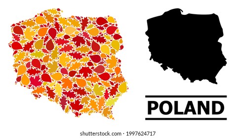 Mosaic autumn leaves and solid map of Poland. Vector map of Poland is composed of scattered autumn maple and oak leaves. Abstract territory plan in bright gold, red, brown colors for map of Poland.
