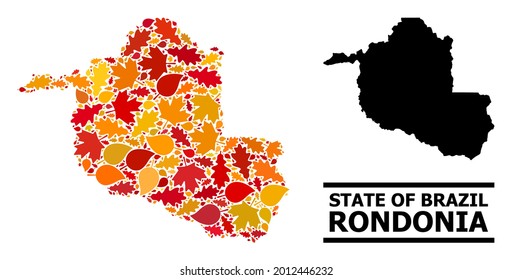 Mosaic autumn leaves and solid map of Rondonia State. Vector map of Rondonia State is composed from randomized autumn maple and oak leaves. Abstract territory scheme in bright gold, red,