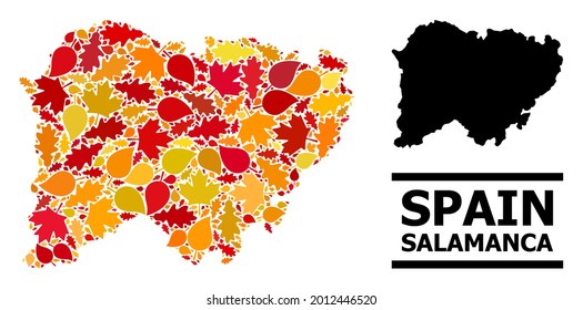 Mosaic autumn leaves and solid map of Salamanca Province. Vector map of Salamanca Province is constructed of randomized autumn maple and oak leaves. Abstract territory scheme in bright gold, red,