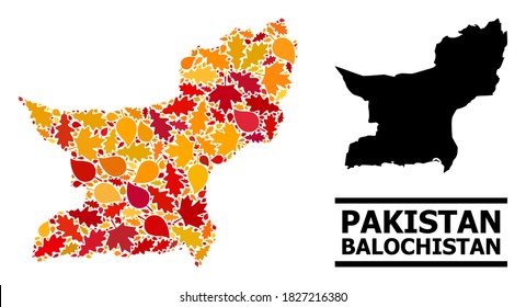 Mosaic autumn leaves and usual map of Balochistan Province. Vector map of Balochistan Province is constructed with random autumn maple and oak leaves. Abstract territorial plan in bright gold, red,