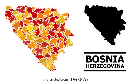 Mosaic autumn leaves and usual map of Bosnia and Herzegovina. Vector map of Bosnia and Herzegovina is organized with scattered autumn maple and oak leaves. Abstract territory plan in bright gold, red,
