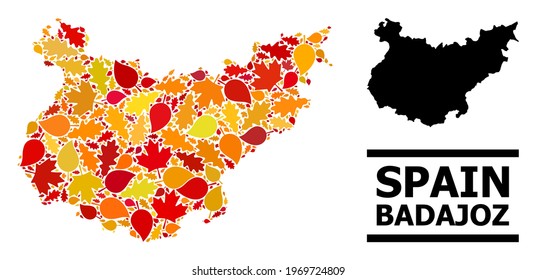 Mosaic autumn leaves and usual map of Badajoz Province. Vector map of Badajoz Province is made with scattered autumn maple and oak leaves. Abstract geographic scheme in bright gold, red,