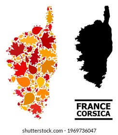 Mosaic autumn leaves and usual map of Corsica. Vector map of Corsica is composed with scattered autumn maple and oak leaves. Abstract territorial scheme in bright gold, red,