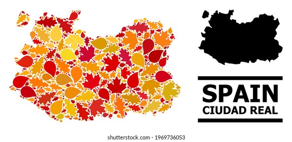 Mosaic autumn leaves and usual map of Ciudad Real Province. Vector map of Ciudad Real Province is constructed from random autumn maple and oak leaves. Abstract territory scheme in bright gold, red,