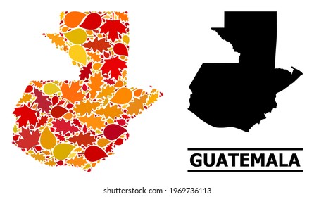 Mosaic autumn leaves and usual map of Guatemala. Vector map of Guatemala is formed with randomized autumn maple and oak leaves. Abstract territorial plan in bright gold, red,