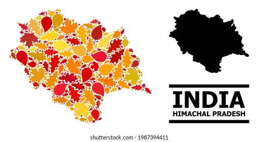 Mosaic autumn leaves and usual map of Himachal Pradesh State. Vector map of Himachal Pradesh State is done from scattered autumn maple and oak leaves. Abstract territory scheme in bright gold, red,