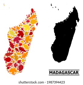 Mosaic autumn leaves and usual map of Madagascar Island. Vector map of Madagascar Island is shaped of random autumn maple and oak leaves. Abstract territorial scheme in bright gold, red,