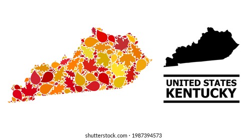 Mosaic autumn leaves and usual map of Kentucky State. Vector map of Kentucky State is designed with random autumn maple and oak leaves. Abstract territory plan in bright gold, red,
