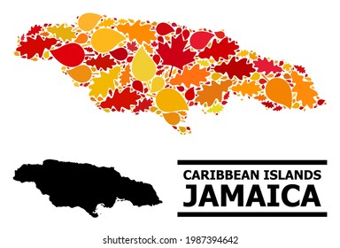 Mosaic autumn leaves and usual map of Jamaica. Vector map of Jamaica is formed of randomized autumn maple and oak leaves. Abstract territory plan in bright gold, red, brown colors for map of Jamaica.