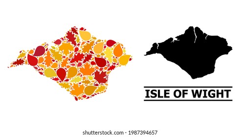 Mosaic autumn leaves and usual map of Isle of Wight. Vector map of Isle of Wight is composed with random autumn maple and oak leaves. Abstract territorial plan in bright gold, red,