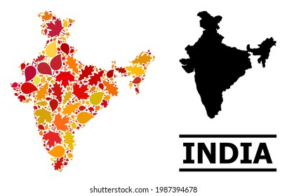 Mosaic autumn leaves and usual map of India. Vector map of India is formed with randomized autumn maple and oak leaves. Abstract geographic plan in bright gold, red, brown colors for map of India.