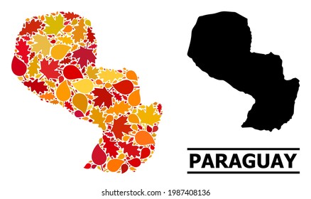 Mosaic autumn leaves and usual map of Paraguay. Vector map of Paraguay is organized with randomized autumn maple and oak leaves. Abstract territory plan in bright gold, red,