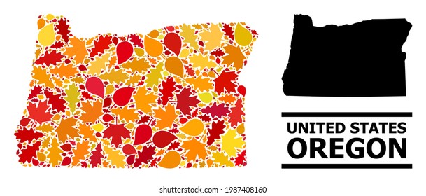 Mosaic autumn leaves and usual map of Oregon State. Vector map of Oregon State is created from random autumn maple and oak leaves. Abstract territorial plan in bright gold, red,