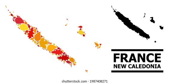 Mosaic autumn leaves and usual map of New Caledonia. Vector map of New Caledonia is constructed of scattered autumn maple and oak leaves. Abstract geographic scheme in bright gold, red,