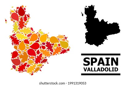 Mosaic autumn leaves and usual map of Valladolid Province. Vector map of Valladolid Province is shaped of random autumn maple and oak leaves. Abstract territory scheme in bright gold, red,