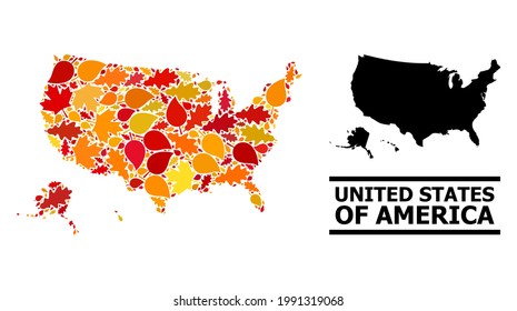 Hojas otoñales mosaicas y mapa usual de los territorios de EEUU. El mapa vectorial de los territorios de EE.UU. está compuesto por hojas de arce y roble al azar del otoño. Régimen de territorios abstractos en oro brillante, rojo,