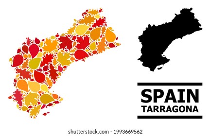 Mosaic autumn leaves and usual map of Tarragona Province. Vector map of Tarragona Province is constructed of scattered autumn maple and oak leaves. Abstract geographic scheme in bright gold, red,