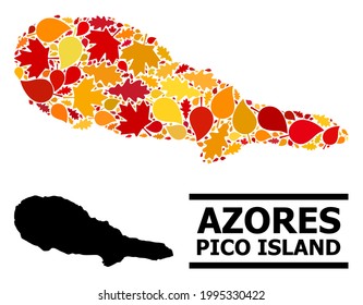 Mosaic autumn leaves and usual map of Pico Island. Vector map of Pico Island is designed with scattered autumn maple and oak leaves. Abstract geographic plan in bright gold, red,