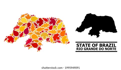 Mosaikherbstlaub und gewohnte Karte des Rio Grande do Norte State. Die Vektorkarte des Bundesstaates Rio Grande do Norte ist mit randomisierten Herbstapel- und Eichenblättern erstellt. Abstrakter Gebietsplan in hellem Gold,