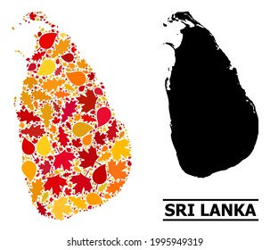 Mosaic autumn leaves and usual map of Sri Lanka. Vector map of Sri Lanka is made with randomized autumn maple and oak leaves. Abstract territorial plan in bright gold, red,