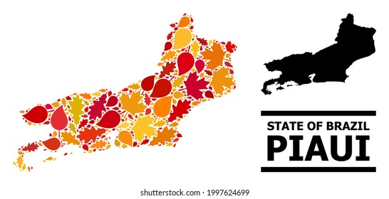 Hojas otoñales mosaicas y mapa usual del estado de Piaui. El mapa vectorial del estado de Piaui se organiza a partir de hojas de arce y roble otoñales al azar. Régimen de territorios abstractos en oro brillante, rojo,