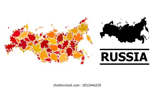Mosaic autumn leaves and usual map of Russia. Vector map of Russia is composed of random autumn maple and oak leaves. Abstract territorial plan in bright gold, red, brown colors for map of Russia.
