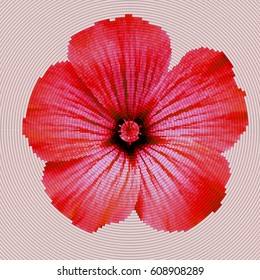 Mosaic background - flower.  Red flower on a pink background.  Vector illustration.
