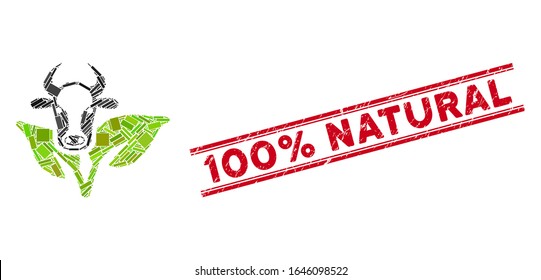 Mosaic bull and plant icon and red 100 Percent Natural seal between double parallel lines. Flat vector bull and plant mosaic icon of scattered rotated rectangle items.