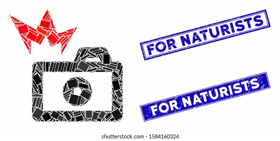 Mosaic camera flash pictogram and rectangular For Naturists stamps. Flat vector camera flash mosaic pictogram of randomized rotated rectangular items. Blue For Naturists stamps with dirty surface.