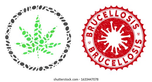 Mosaic cannabis icon and red rounded rubber stamp seal with Brucellosis text and coronavirus symbol. Mosaic vector is formed from cannabis icon and with scattered oval spots.