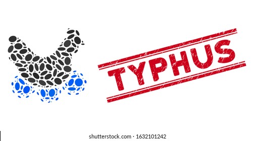 Mosaic chicken virus icon and corroded stamp watermark with red Typhus phrase between double parallel lines. Mosaic vector is designed with chicken virus icon and with randomized elliptic elements.