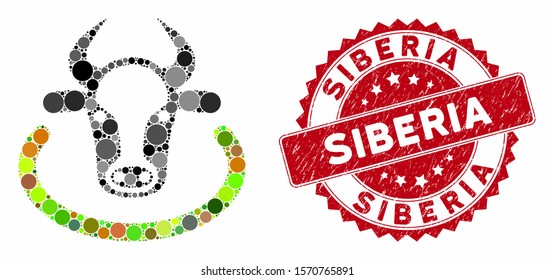 Mosaic cow area and distressed stamp seal with Siberia phrase. Mosaic vector is formed with cow area icon and with random circle spots. Siberia stamp seal uses red color, and dirty texture.