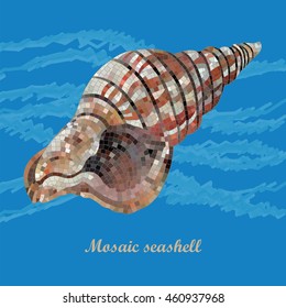 Mosaic decor seashell. Classical artistic mosaic, Roman style assembly. Ideal for swimming pools and wall decorations. Each element is isolated and edited. Vector 10 EPS illustration. 