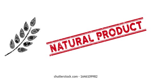 Mosaic leaf branch icon and red Natural Product seal stamp between double parallel lines. Flat vector leaf branch mosaic icon of scattered rotated rectangular items.